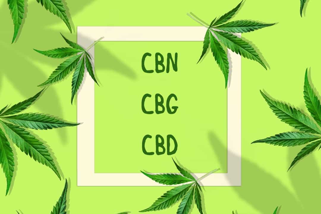 CBN, CBG and CBD differences