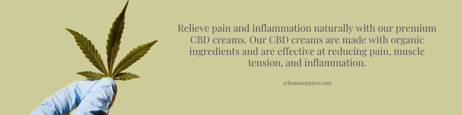 CBD Creams For Pain