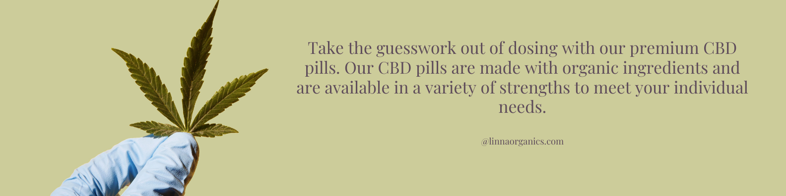CBD Pills