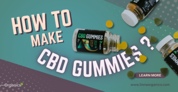 CBD Gummies banner