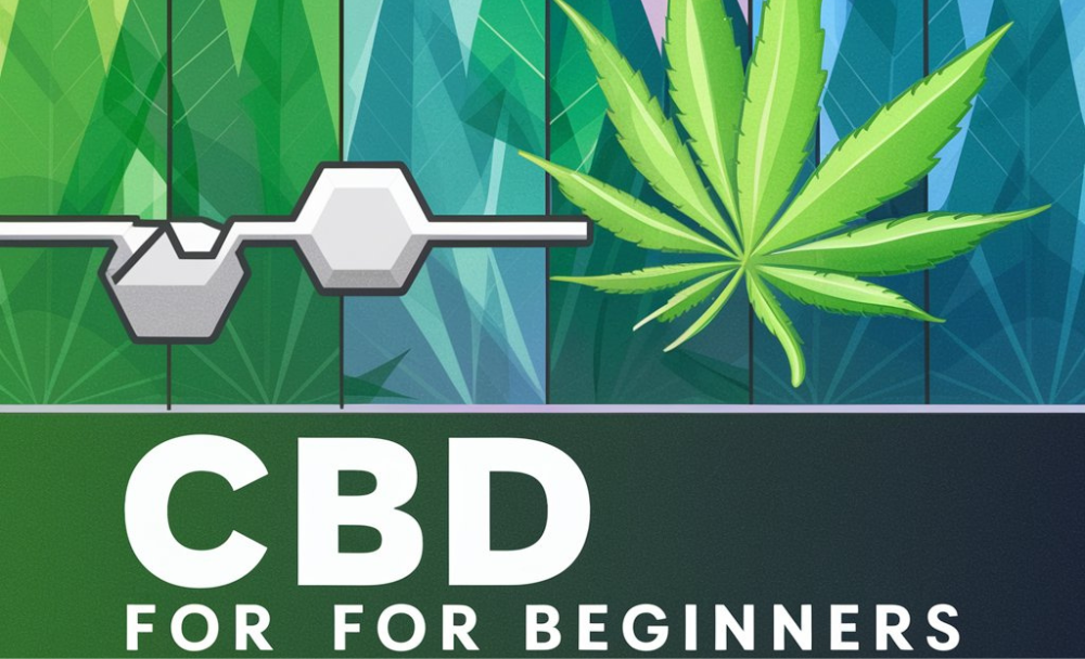 CBD for Beginners: What You Need to Know About Cannabidiol.